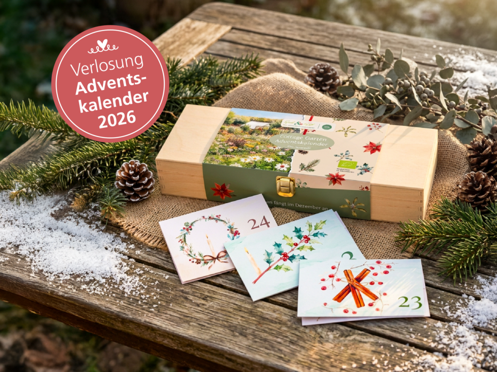 Adventskalender von Saat & Gut aunf einem winterlich dekoriertem Holztisch.