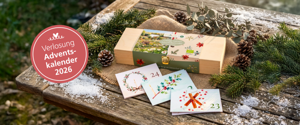 Adventskalender von Saat & Gut aunf einem winterlich dekoriertem Holztisch.