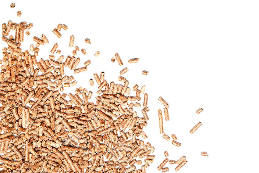 Holzpellets liegen lose auf einem weißen Hintergrund.